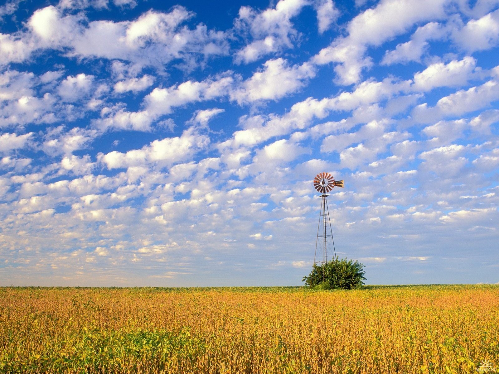 clouds sky the field a windmill