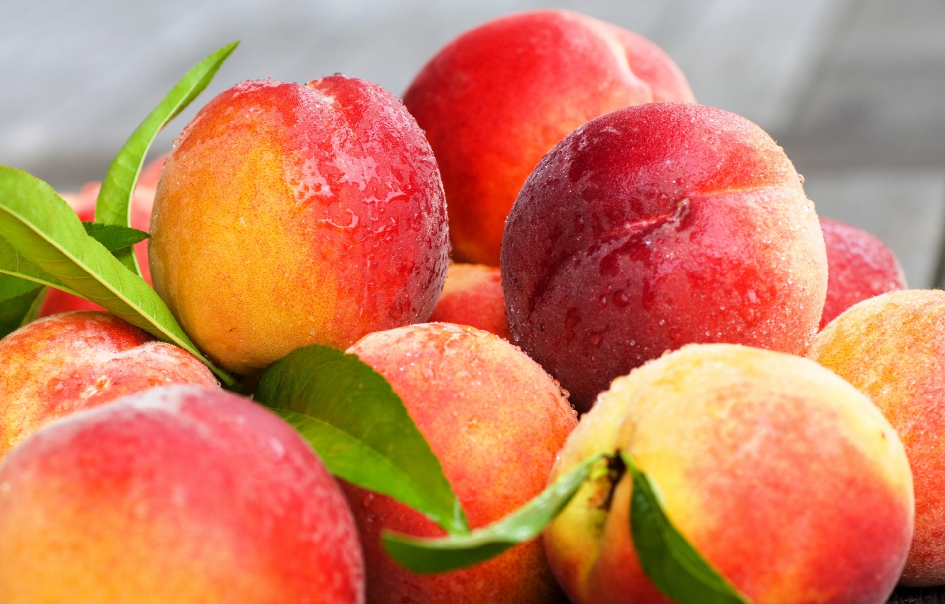 fruits pêches nectarine feuille