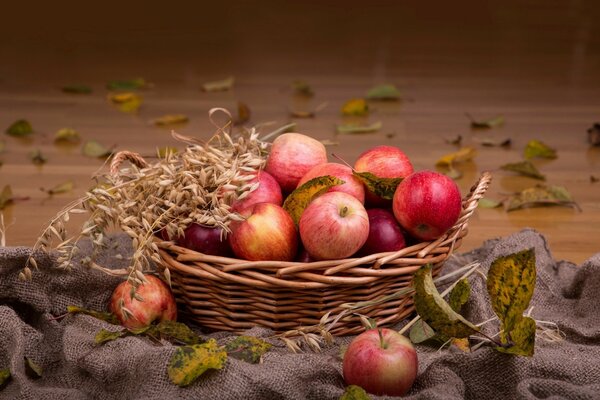 Herbst-Stillleben Äpfel im Korb