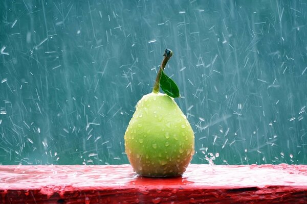 Pera en un banco bajo la lluvia