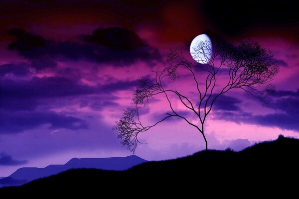 Por la noche, cerca de la Luna hay un árbol con ramas