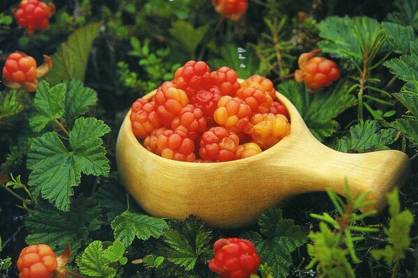 Collected cloudberry on a background of green leaves