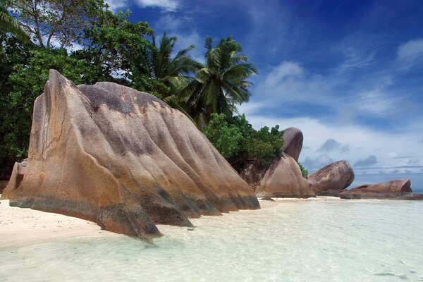 Isla tropical con costa de arena, grandes rocas y palmeras