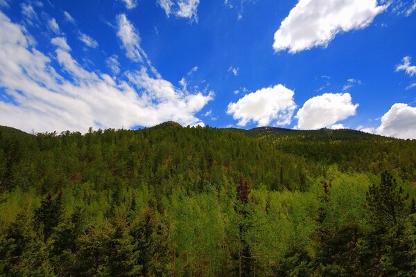 Arbres et montagnes nuages ciel beauté