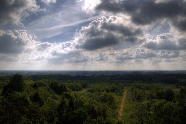 Schöne Wolken über Bäumen und Straße