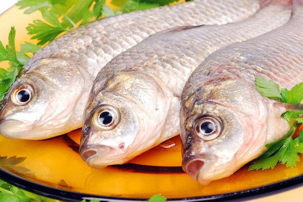 Fisch auf einer Untertasse mit einer schönen Portion