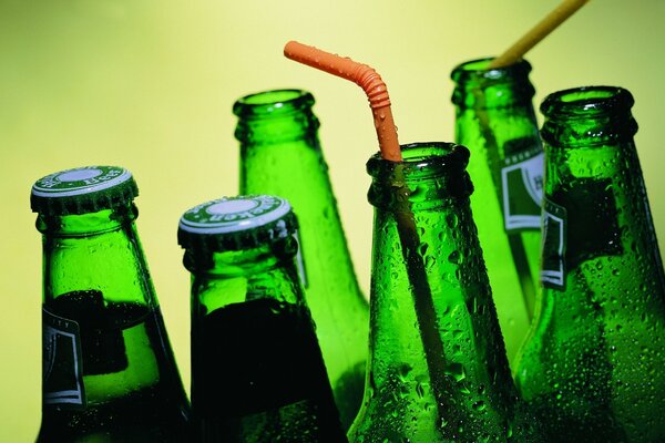 Misted bottles of light beer