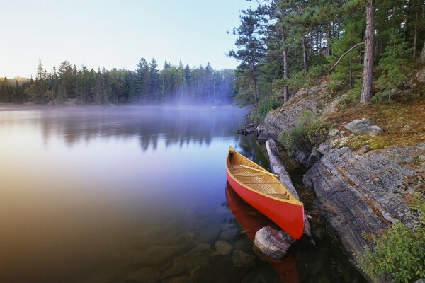 Bateau solitaire près de la forêt