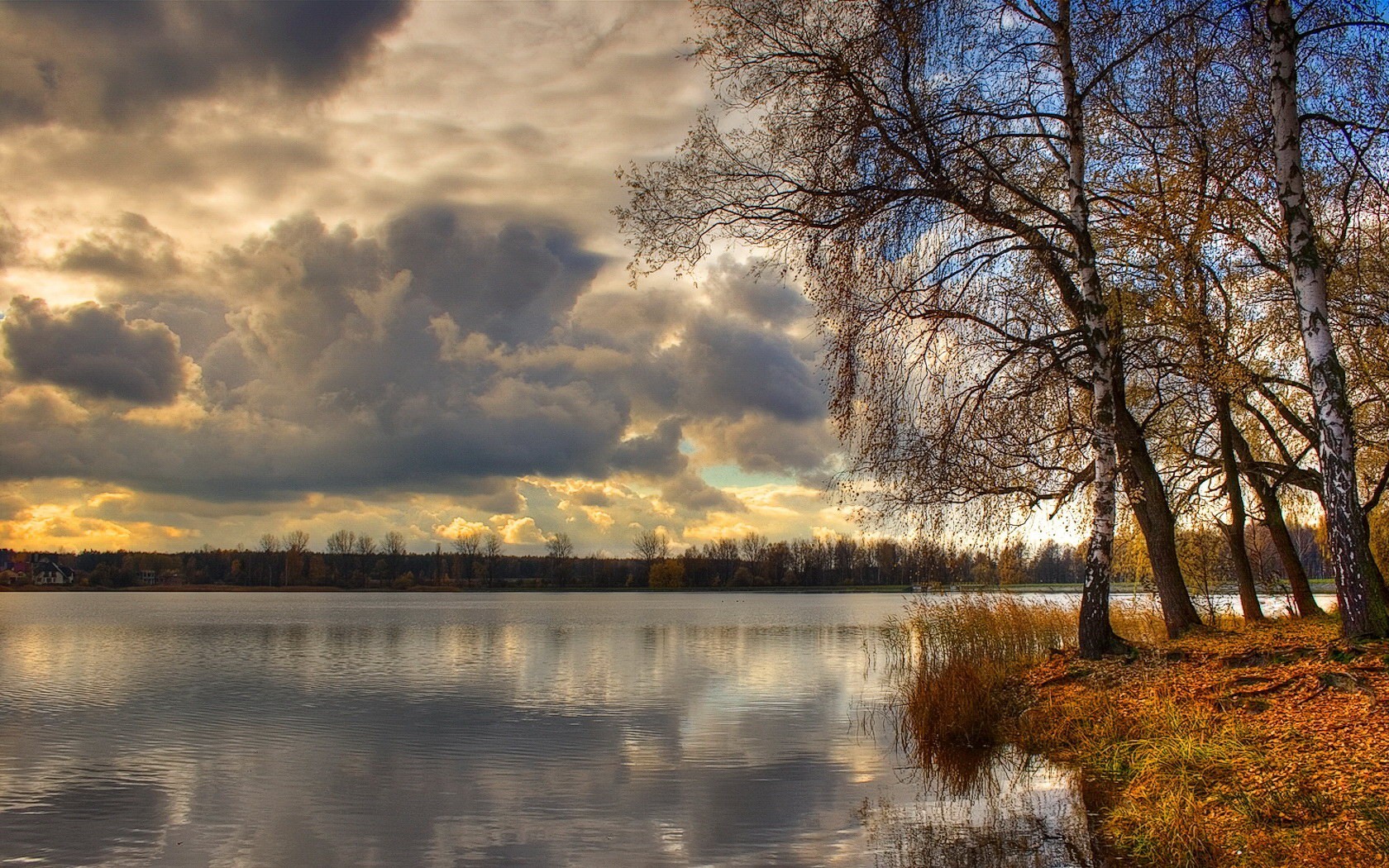 lago árboles nubes abedules