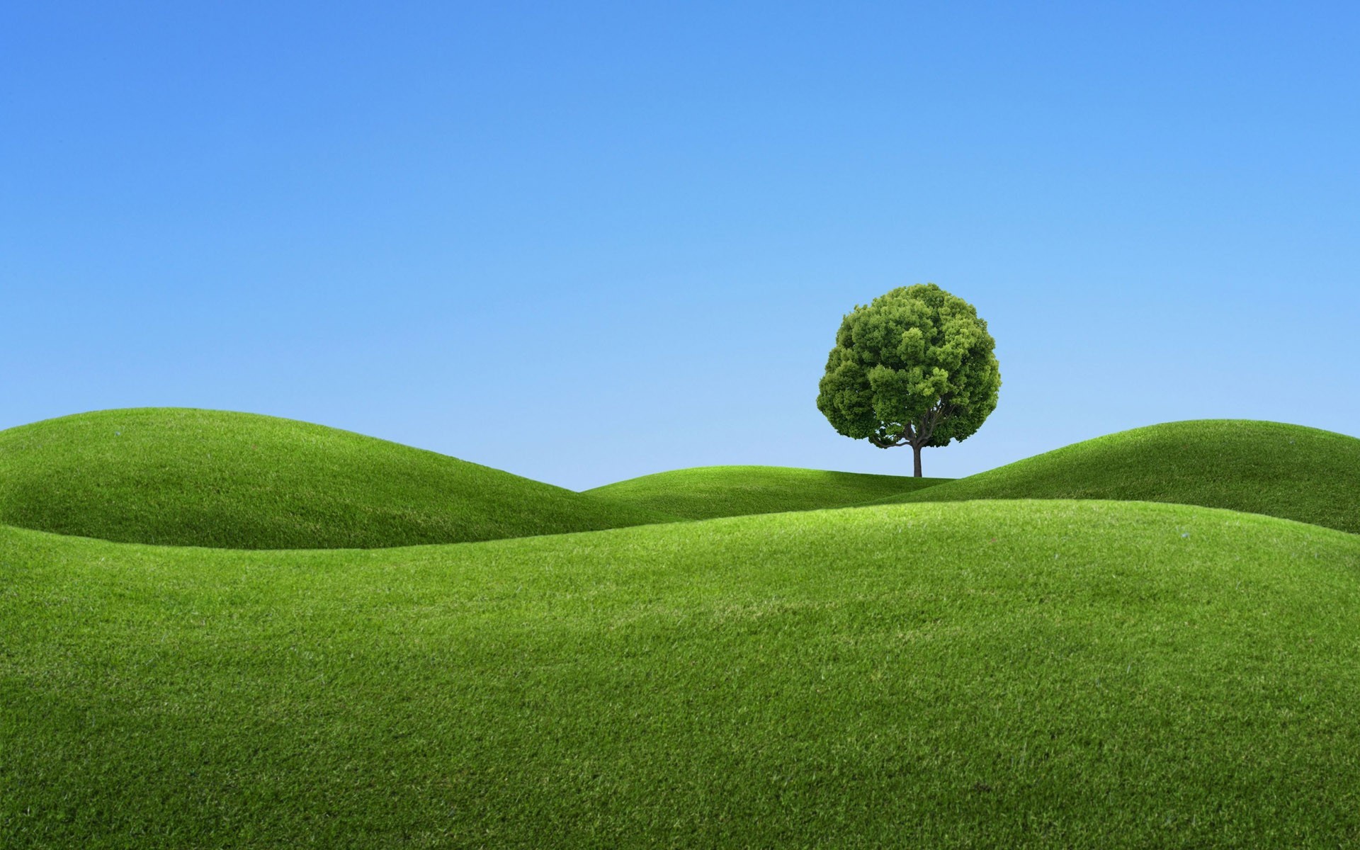 arbre collines vert bleu