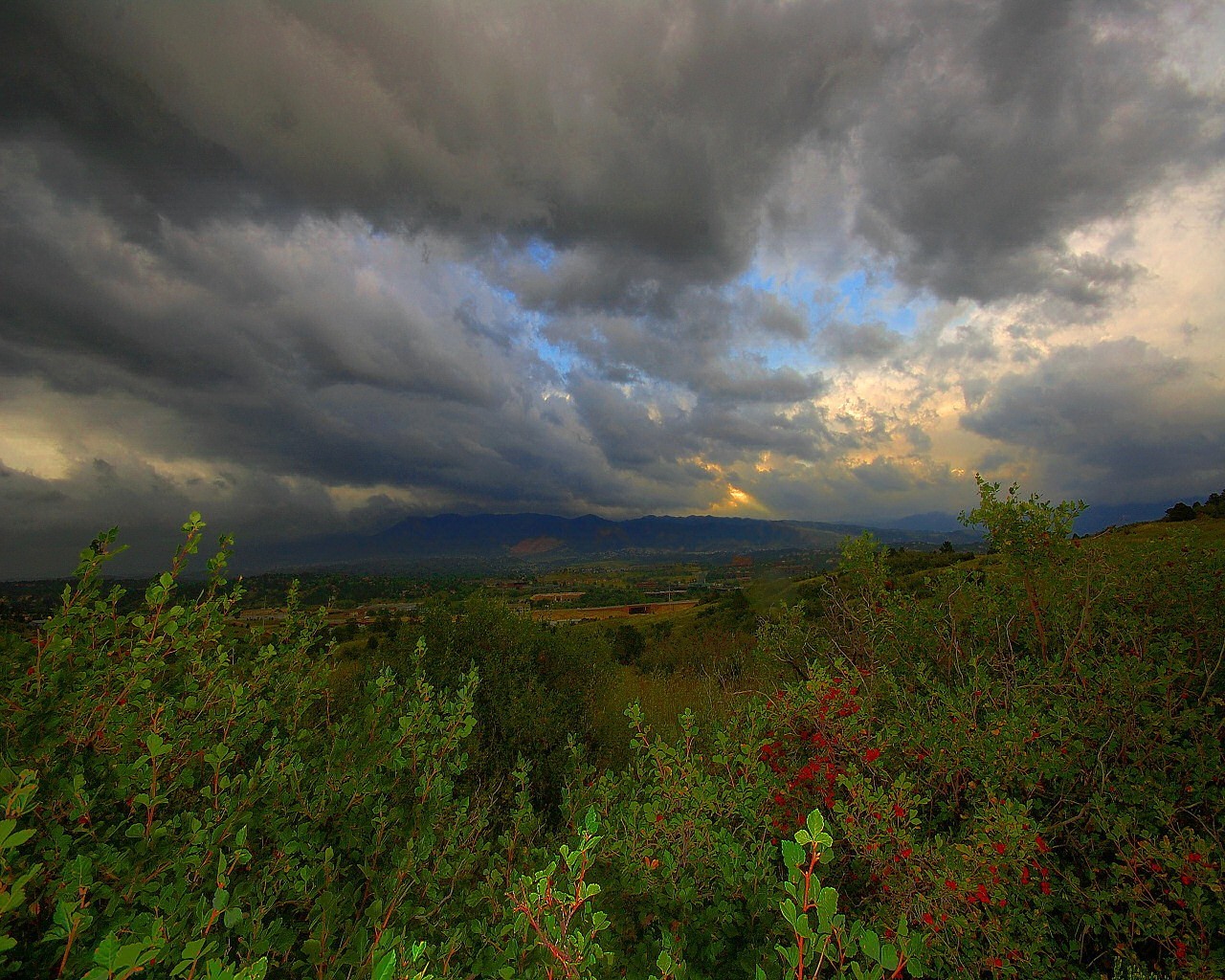 bäume blätter wolken