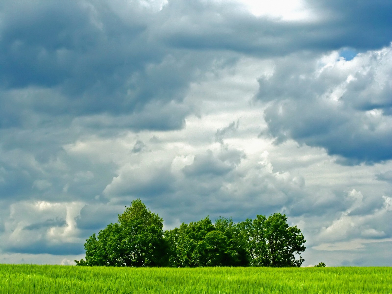 wolken bäume feld