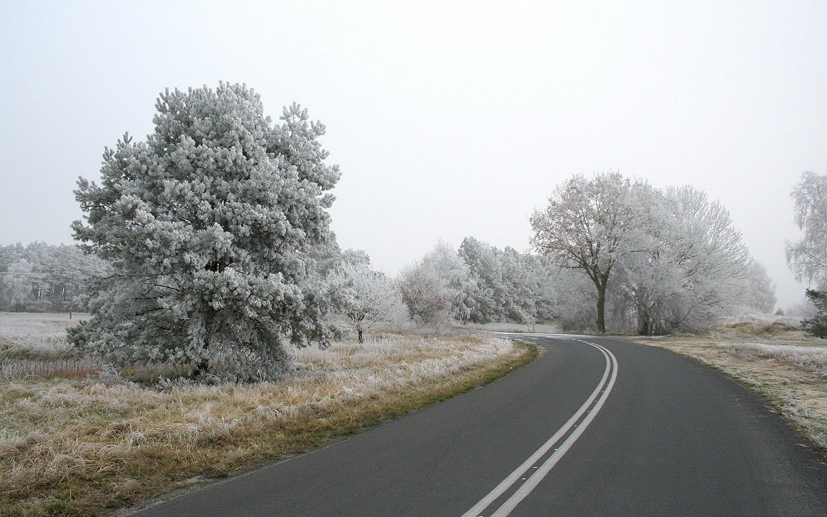 droga drzewa śnieg