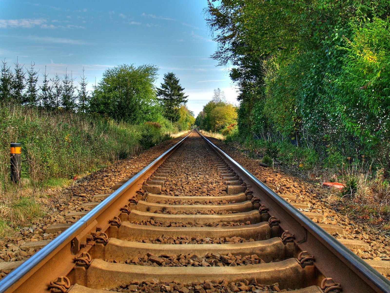 chemin de fer chemin de fer arbres rails