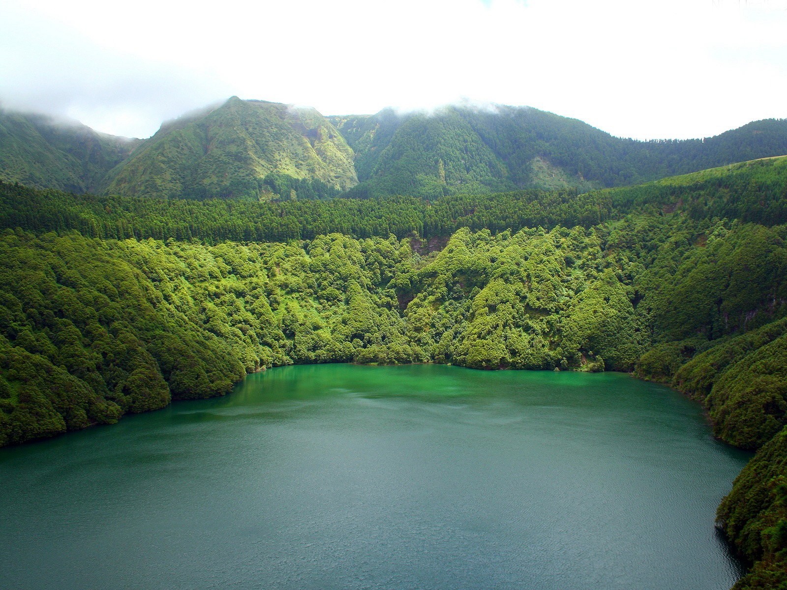 lac arbres montagnes