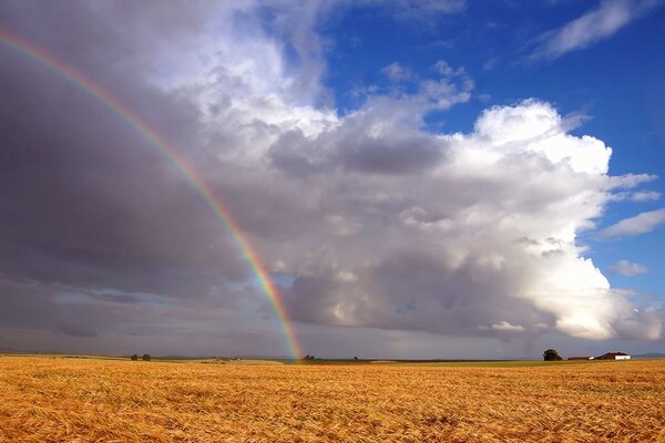 Auf dem goldenen Feld ist ein schöner Regenbogen