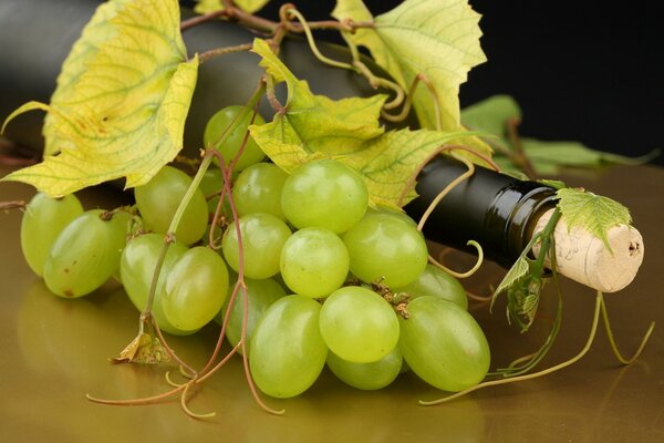 A bottle of wine and bunches of grapes