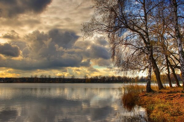 El asentamiento de abedul en el lago frío