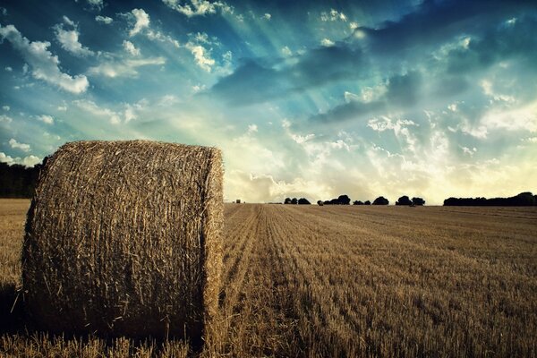 Balle di paglia dopo aver raccolto i cereali al tramonto. Strada in pieno svolgimento