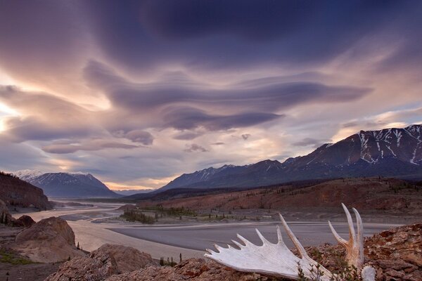 Moose horns on the background of mighty mountains