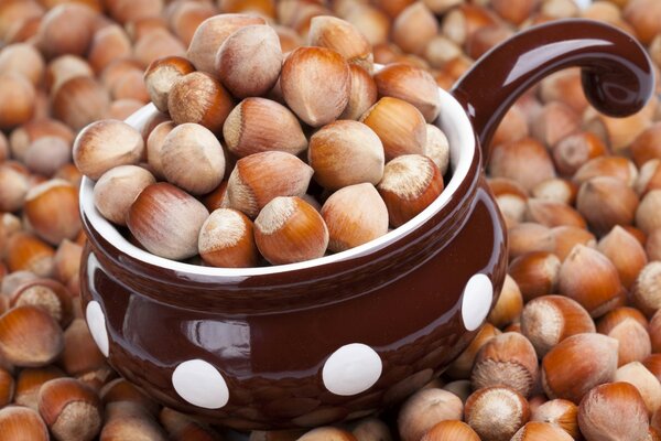 Plate with hazelnuts on a background of nuts