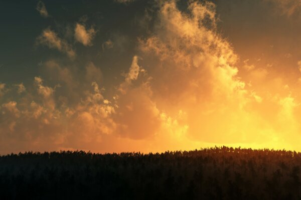 Feuriger Sonnenuntergang mit Wolken und Bäumen im Vordergrund