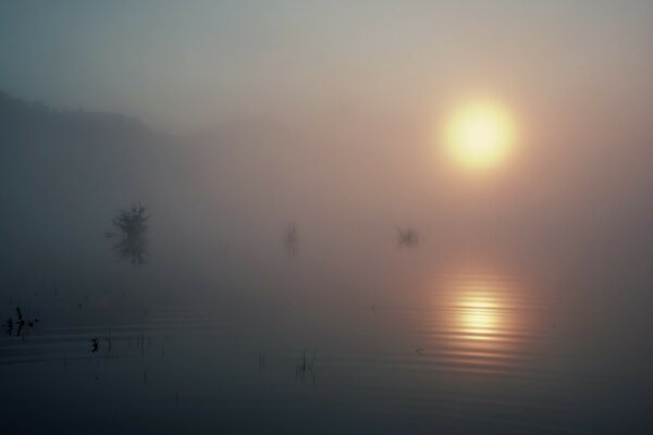 Lagos en la niebla foto