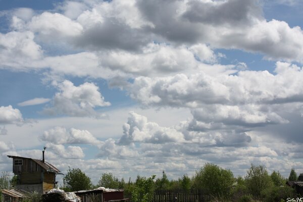 Vista de las nubes flotantes sobre el bosque