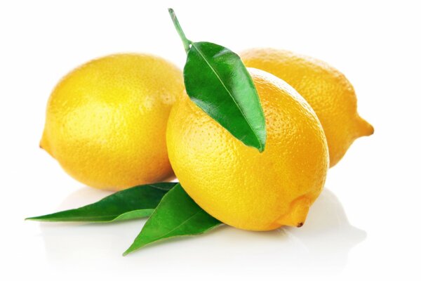 Limone succoso su sfondo bianco