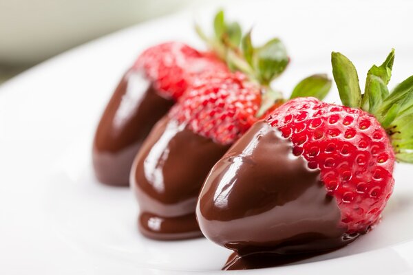 Fraises au chocolat sur fond blanc