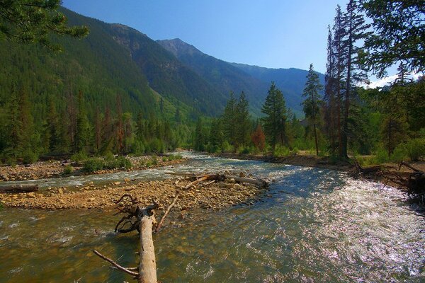 Hermoso paisaje de montaña con un río de montaña