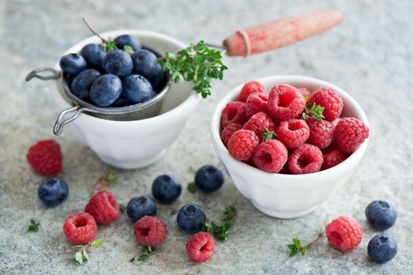 Framboises et bleuets dans des tasses en porcelaine blanche