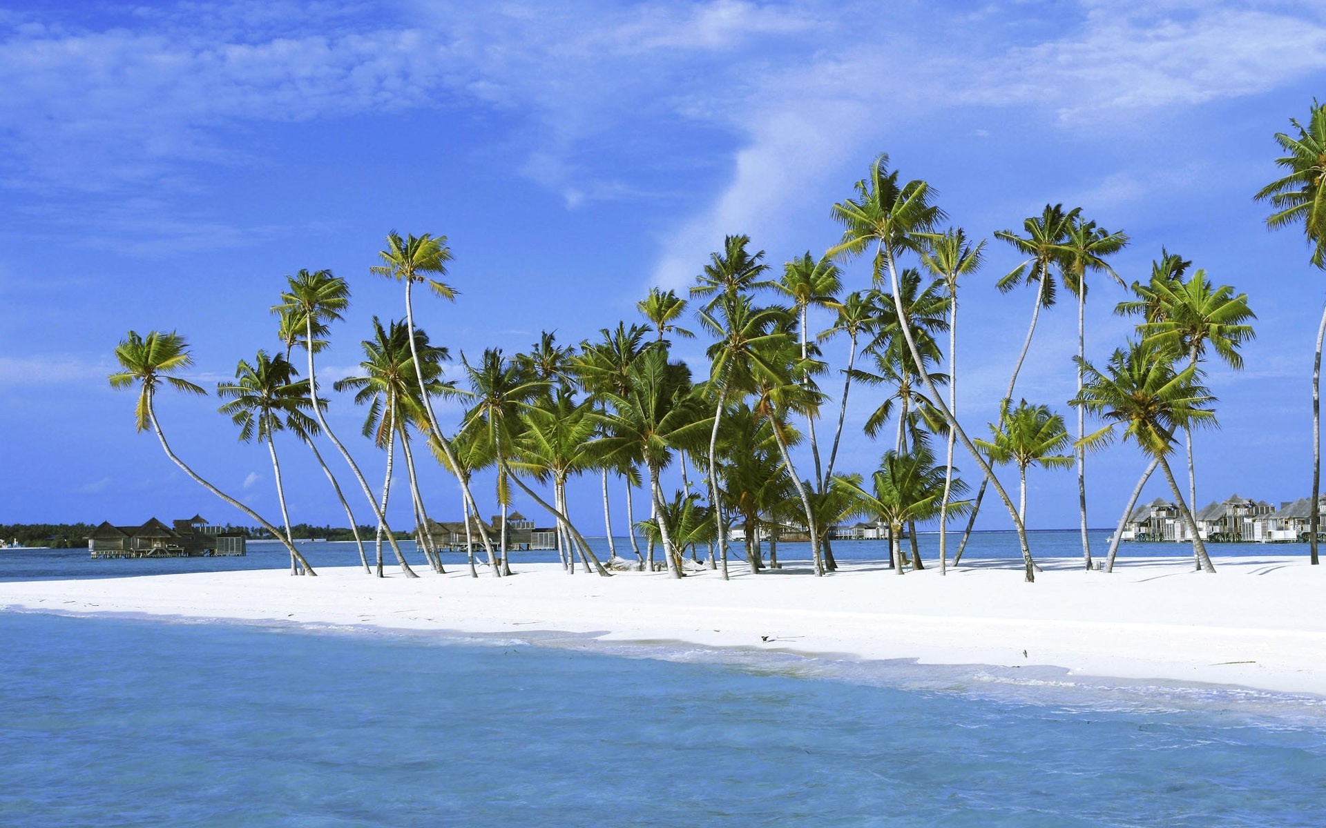 palm island sand