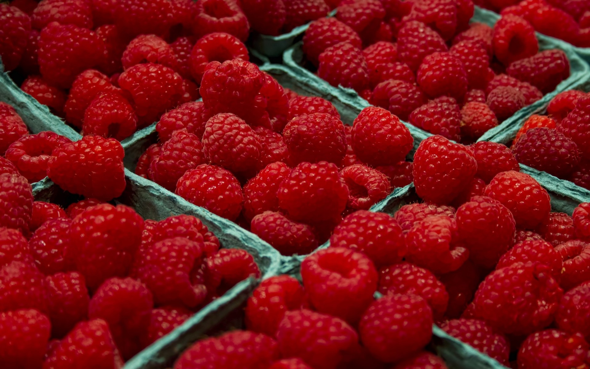 gros plan baies framboises