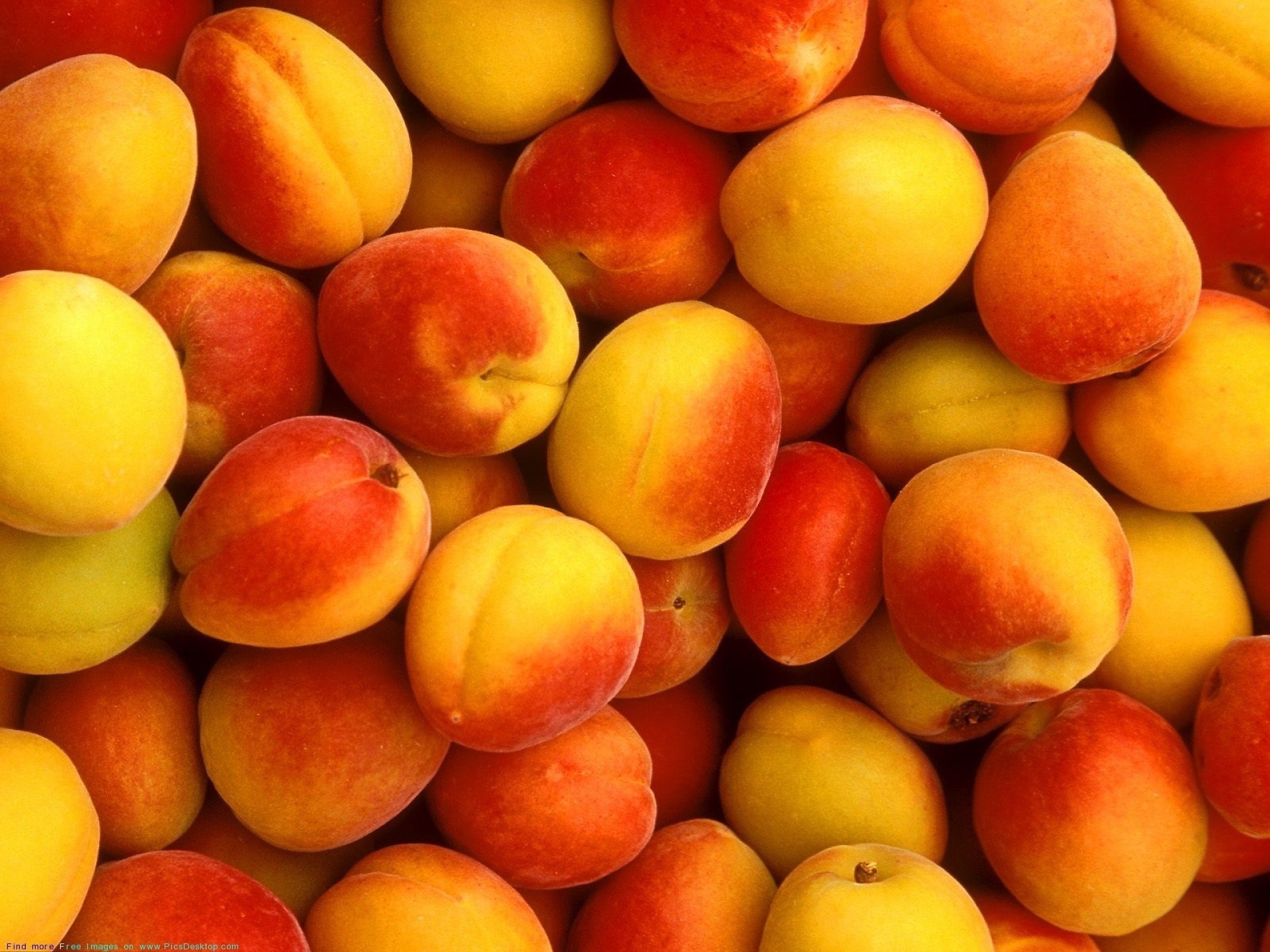 many apricot