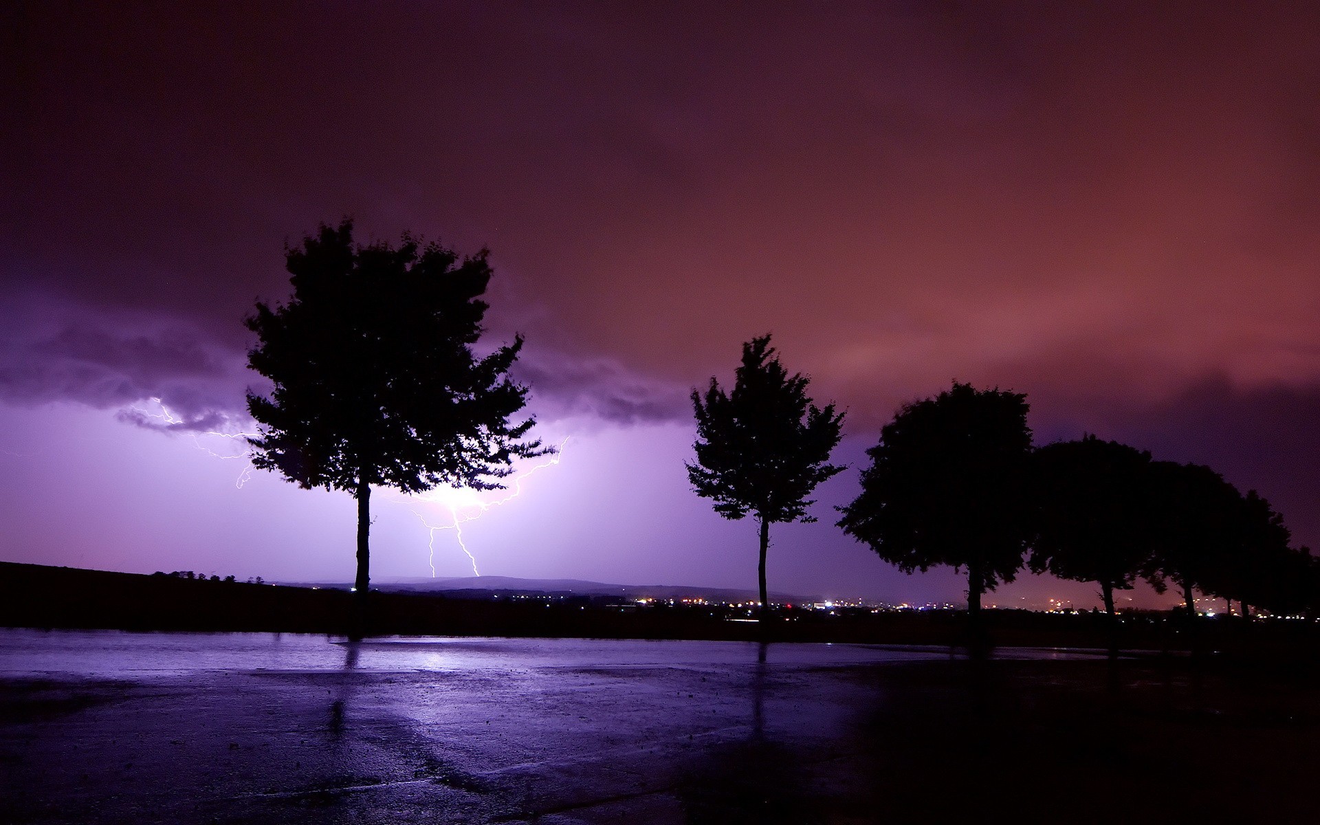 bäume blitz sturm