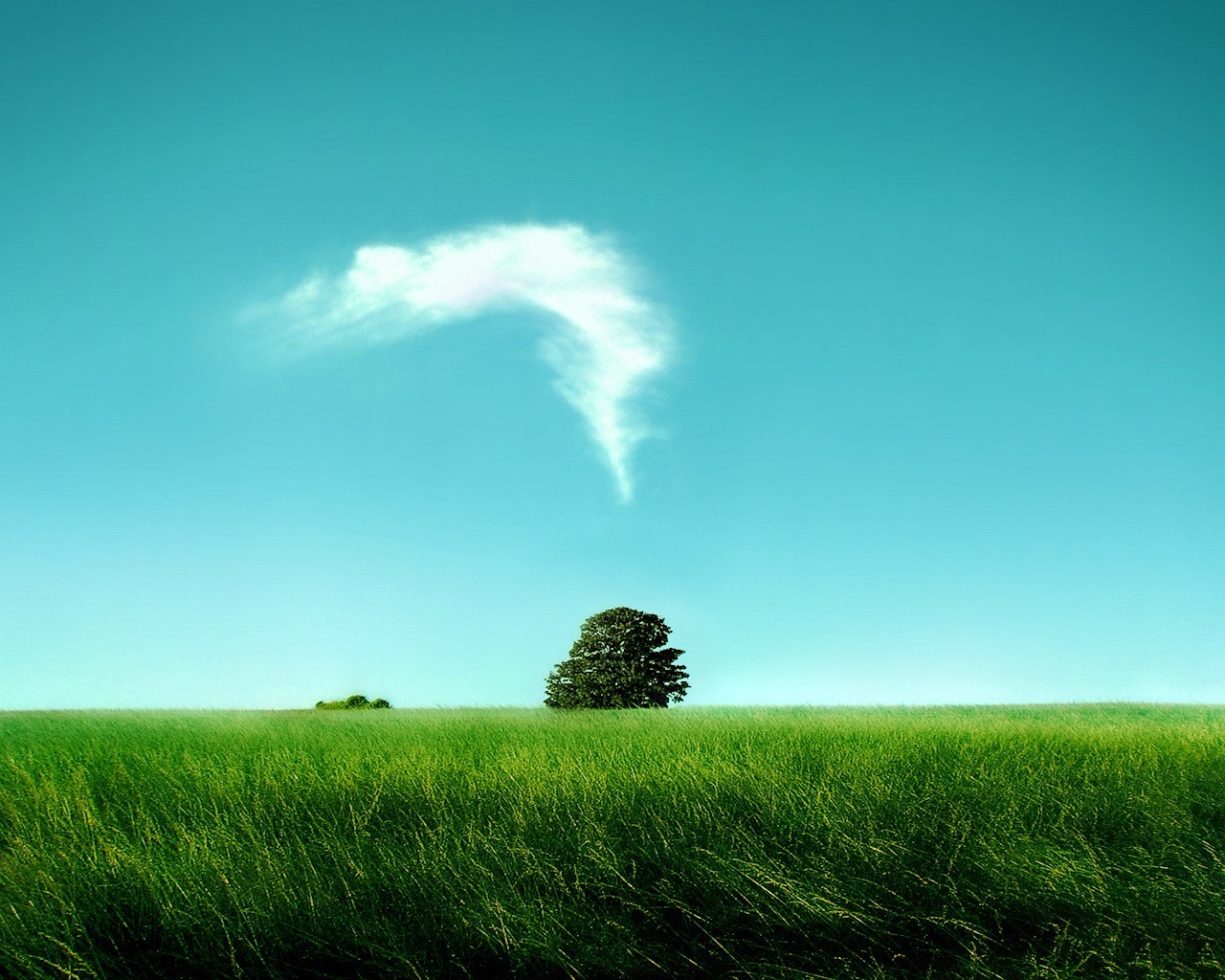 champ arbre nuages