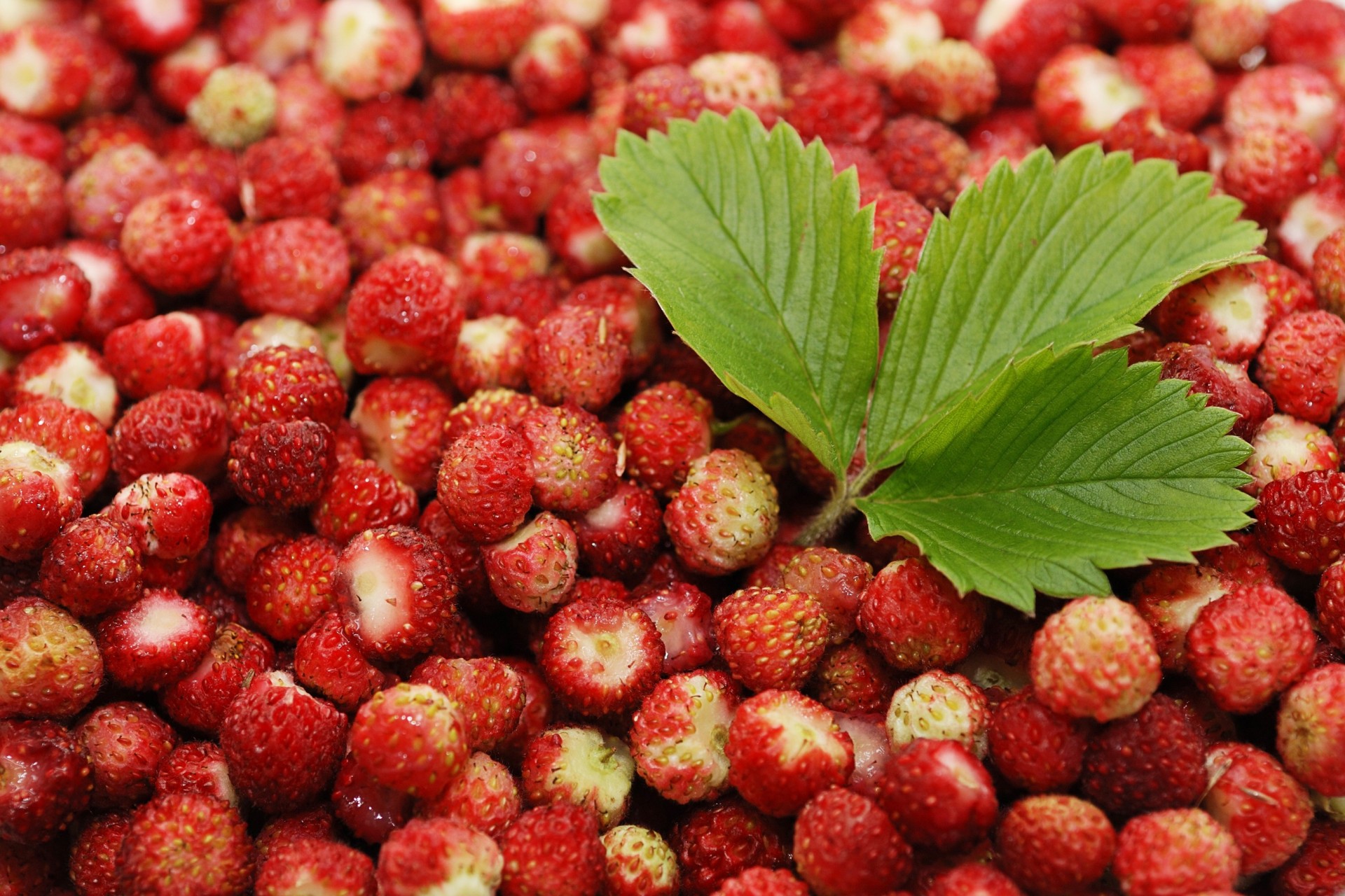 foglio schermo intero widescreen sfondo carta da parati cibo. bacche fragole rosso