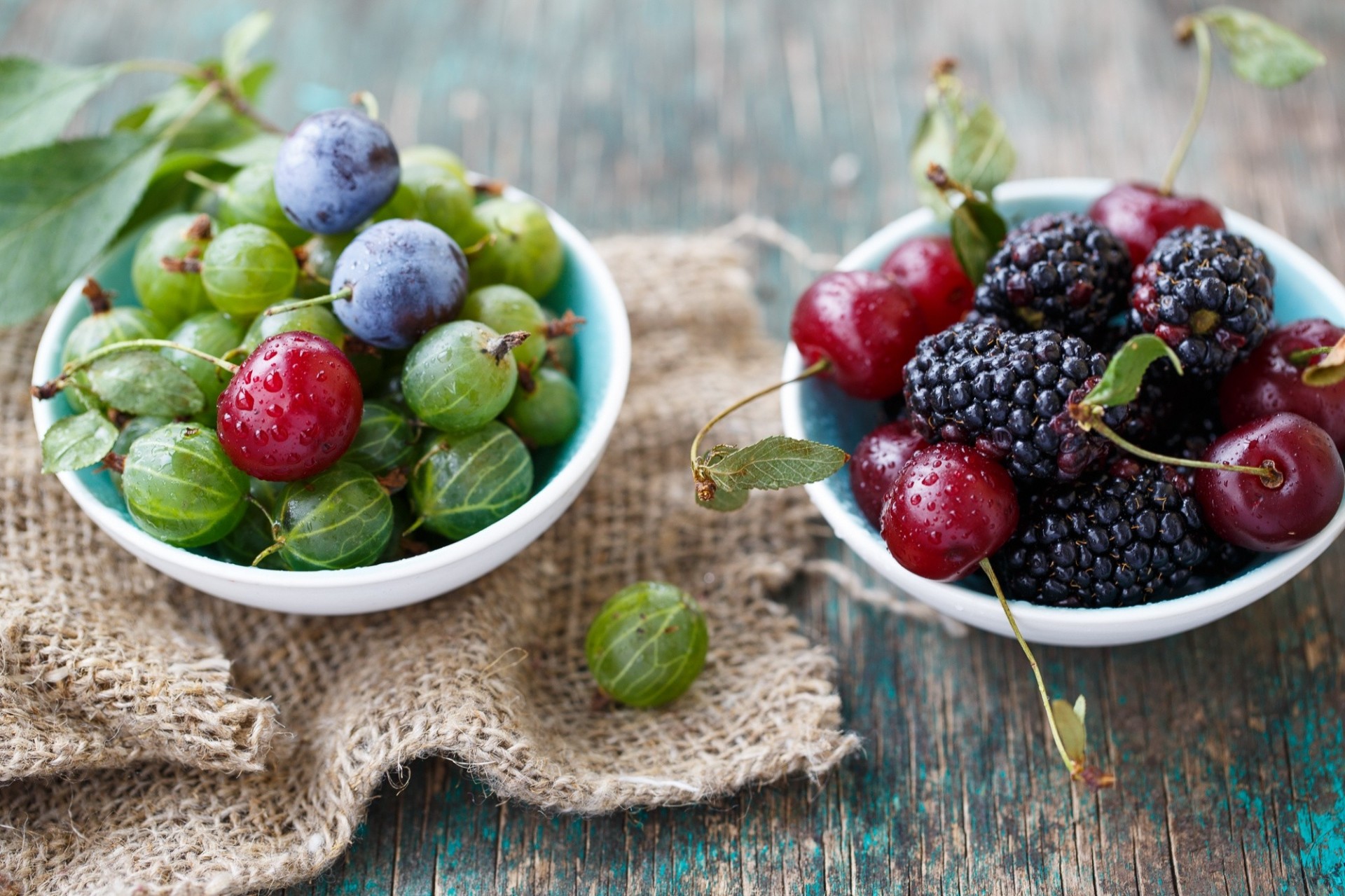 berries sakura blackberry gooseberrie