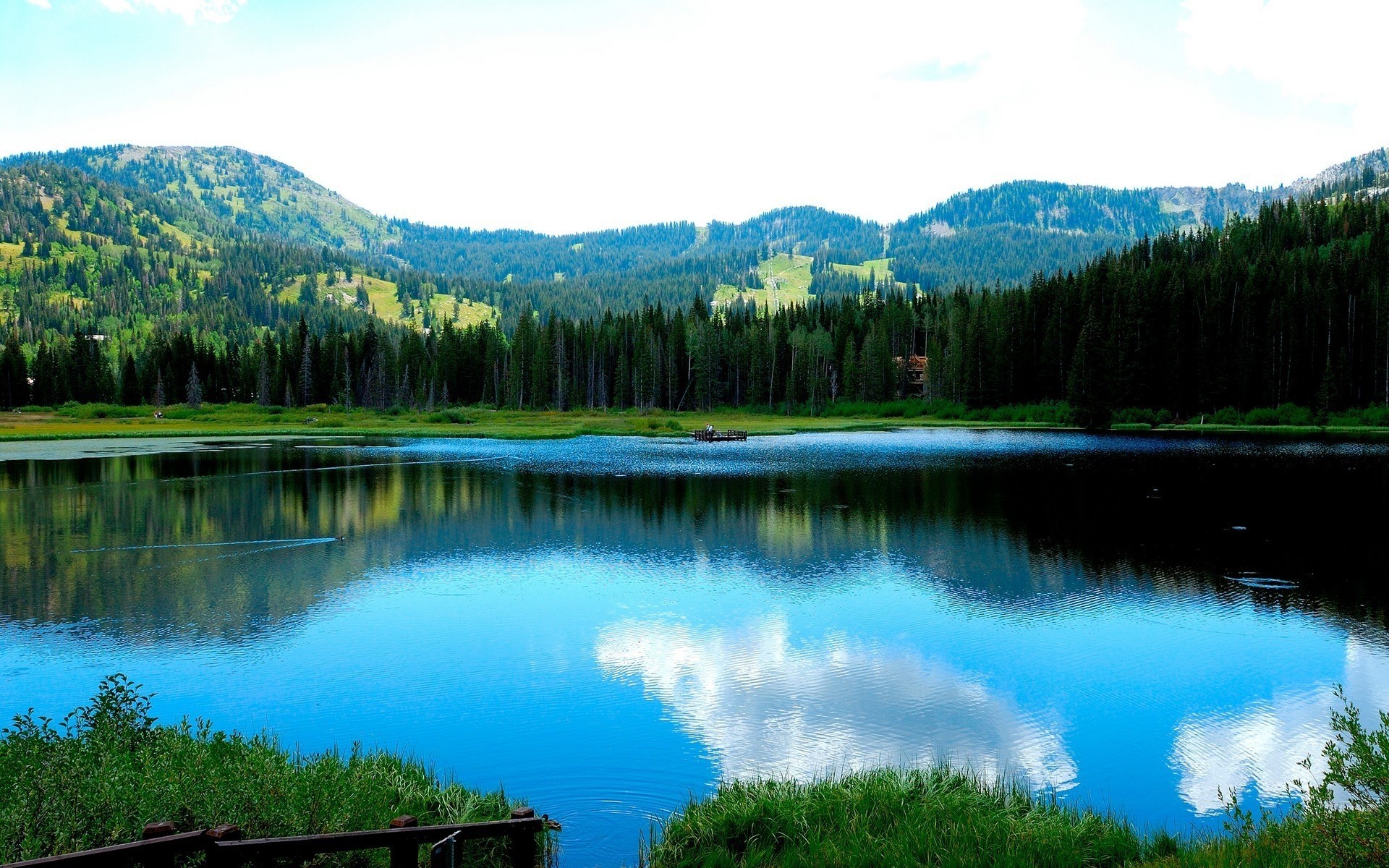 lac montagnes forêt