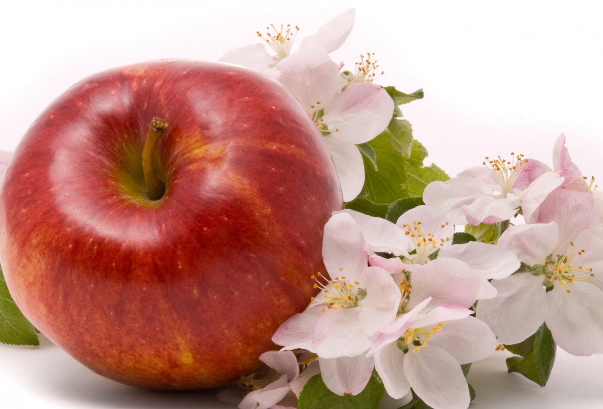 pomme fruits fleurs mûres