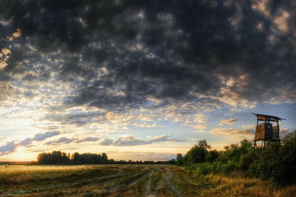 Village field in the clouds evening