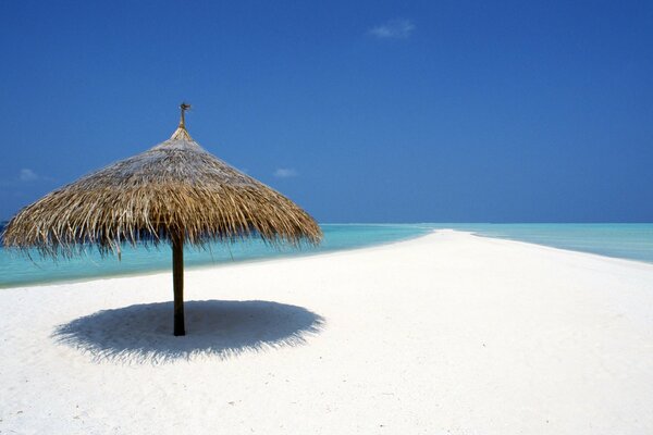 Foto Tropici spiaggia di sabbia