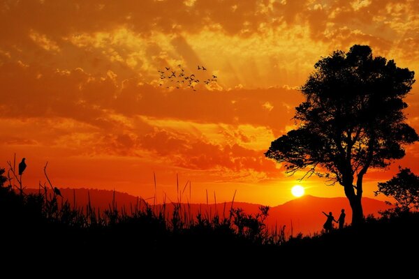 Bellissimo tramonto sul lago