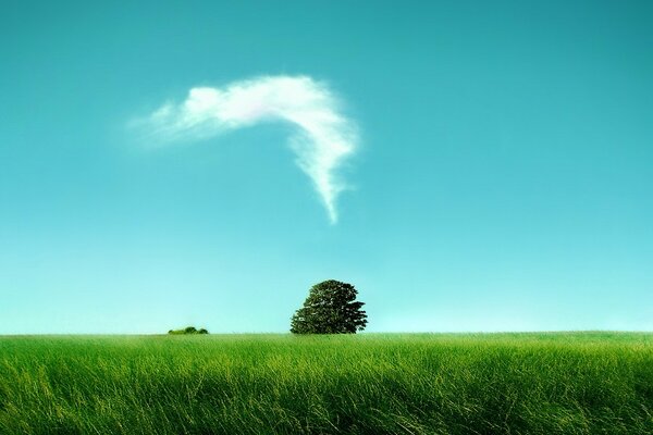 Одинокое дерево с поле под облаками