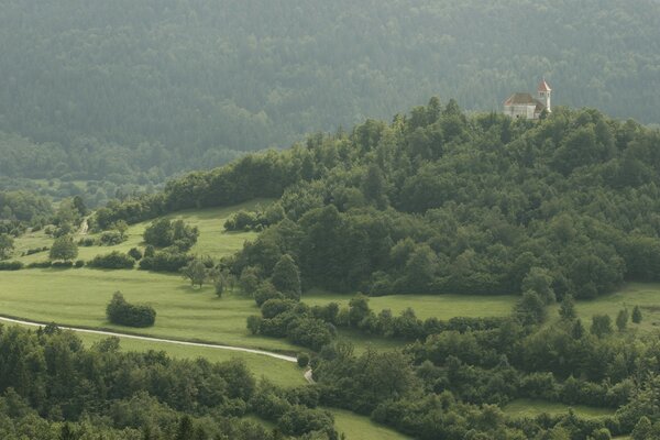 Der Weg zum unter dichten Bäumen verlorenen Schloss