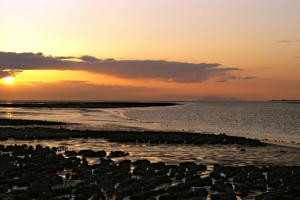 Tramonto sul mare