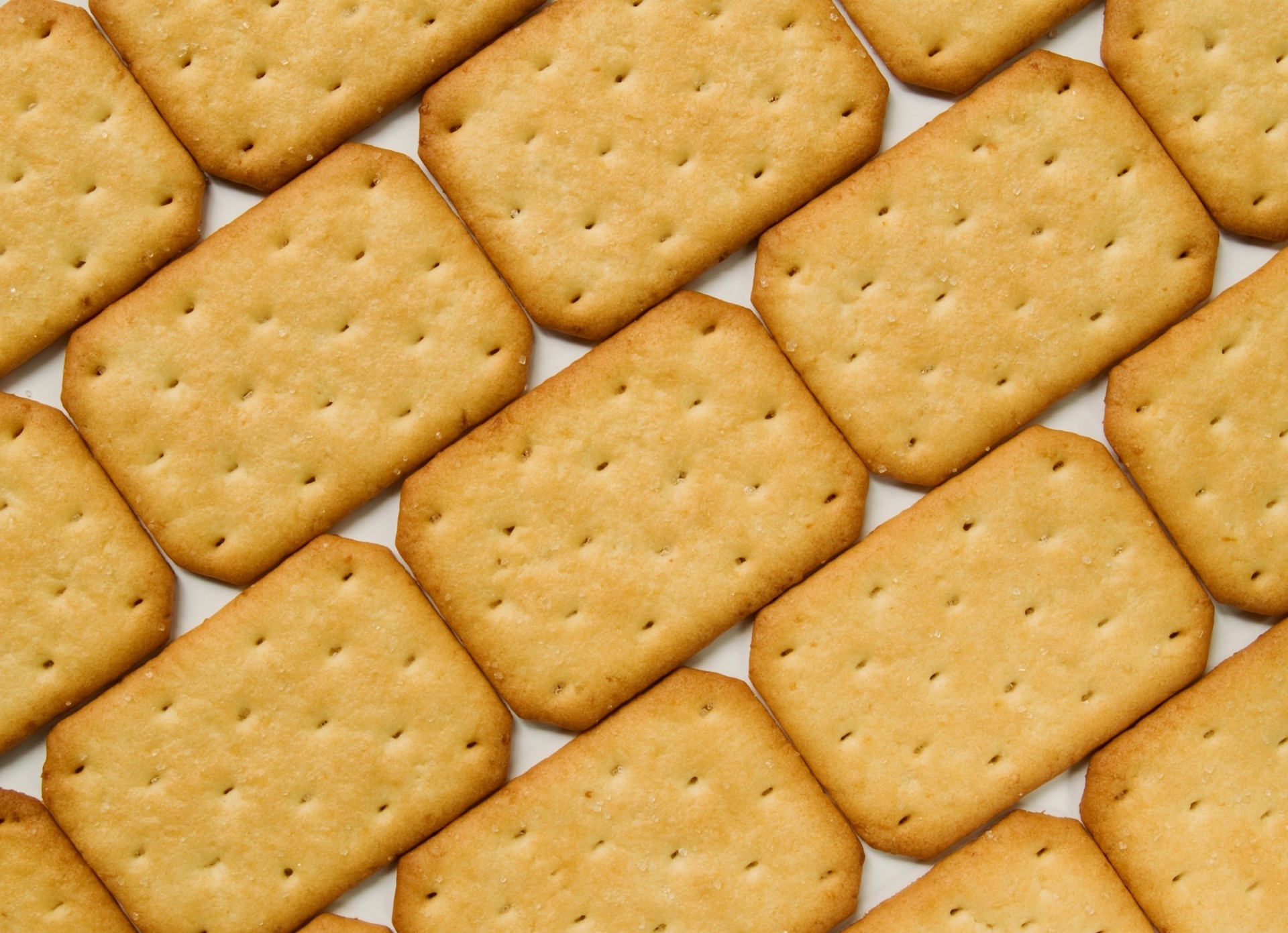 briques fond cracker biscuits