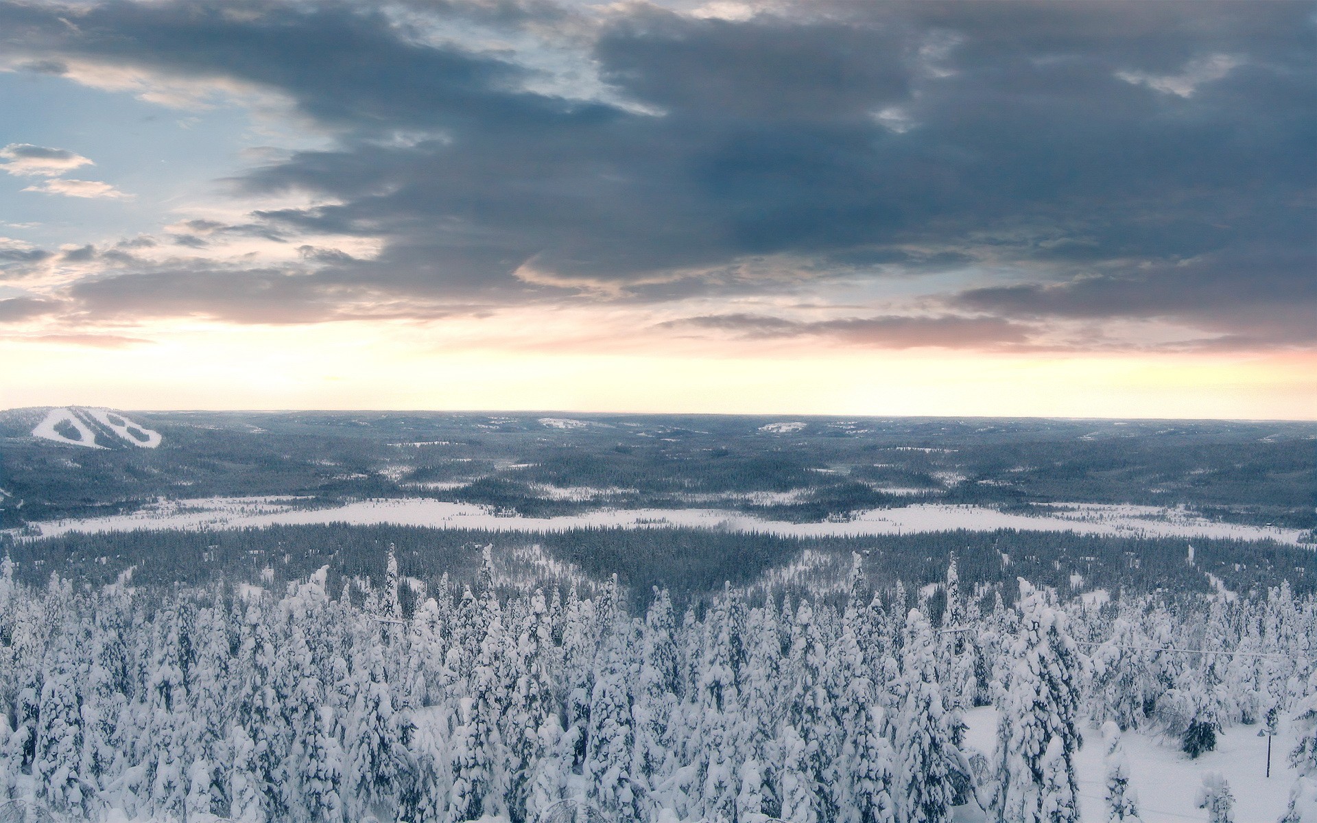 bäume wald schnee winter wolken