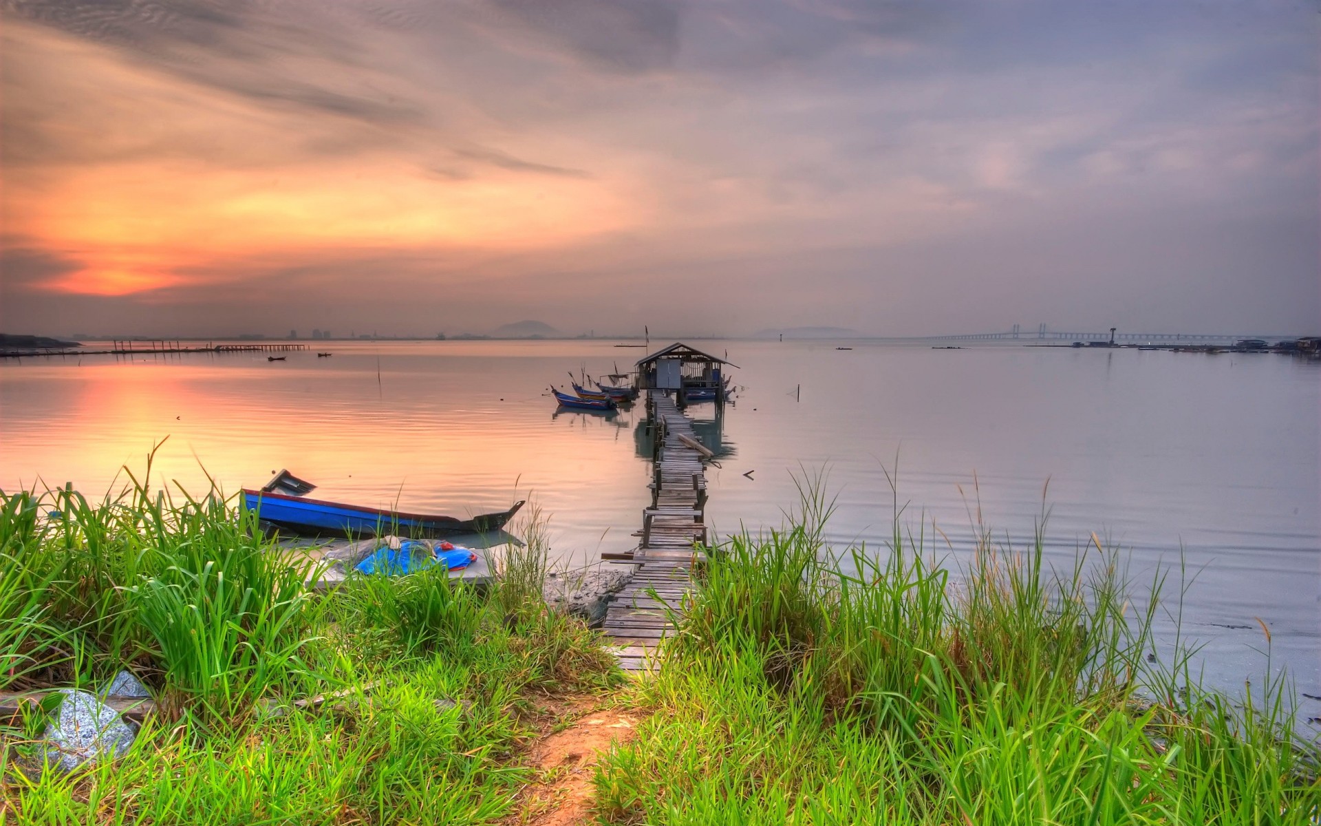 grass beach pier